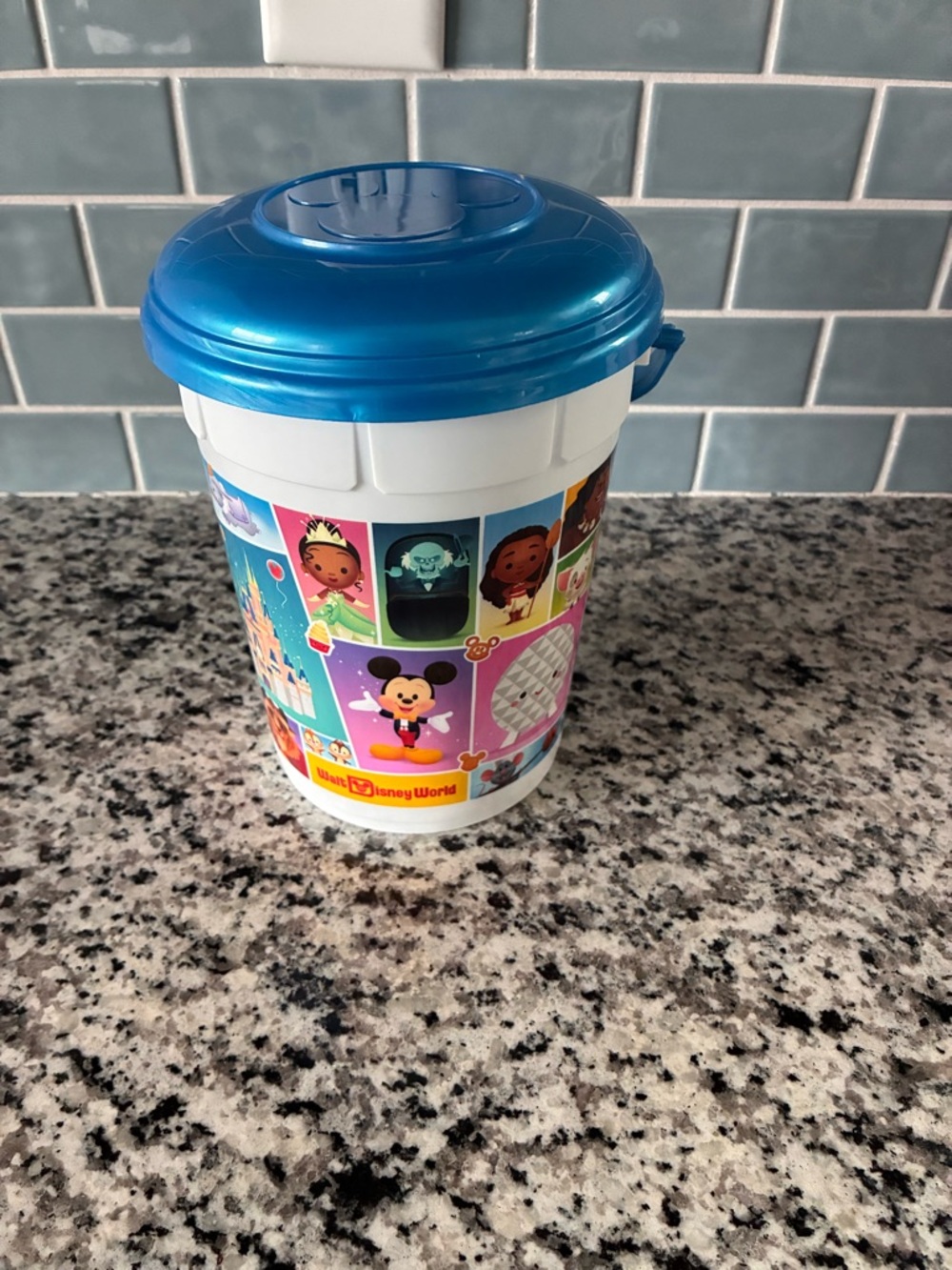 Disney World Popcorn Bucket